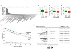 Mecanismo epigenético asociado al resultado clínico y la vulnerabilidad terapéutica en el cáncer de hígado