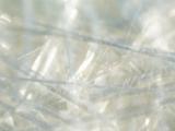 Fibras de vidrio con plata como tratamiento de las biopelículas bacterianas asociadas a heridas