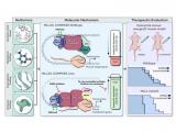 Combinación de enfoques epigenéticos y metabólicos para el tratamiento específico del cáncer 