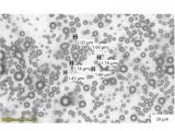 Mejora del control tumoral con microburbujas de oxígeno