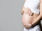 Baja ingesta de fibra durante el embarazo retrasa el desarrollo del cerebro infantil