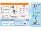 Uso de metagenómica para identificar virus en muestras de plasma
