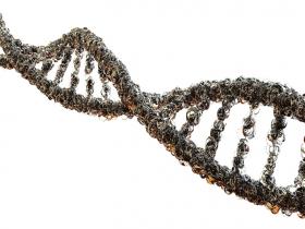 Nuevos genes de susceptibilidad al cáncer de mama