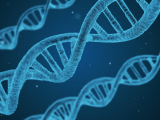 ADN mitocondrial: nuevo biomarcador de inflamación