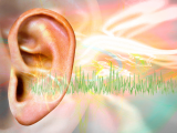 El tinnitus alerta sobre la degeneración neuronal coclear