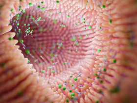 Estrategia para erradicar H. pylori sin afectar el microbioma intestinal