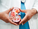 Beneficios de los agonistas del GLP-1 en la salud renal
