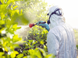 Pesticidas podrían aumentar el riesgo de cáncer de próstata