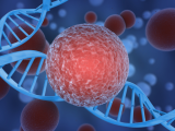 Test molecular anual de cáncer reduce notablemente la mortalidad