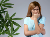 La dopamina explicaría la conexión entre consumo de cannabis y psicosis