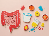 microbiota intestinal, modulación de la microbiota intestinal, probióticos, diabetes tipo 2, control glucémico, resistencia a la insulina