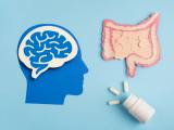 prebióticos, probióticos, desarrollo cognitivo temprano, neurodesarrollo, neuroinflamación