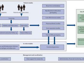 La dupla diabetes y tuberculosis