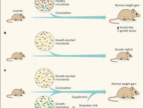 Ayuda bacteriana para crecer