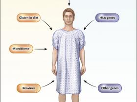 El factor infeccioso de la enfermedad celiaca