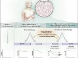 Mecanismos de resistencia del cáncer de mama