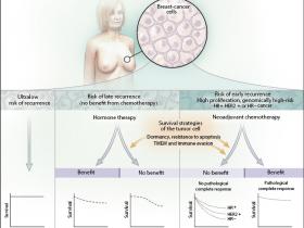 Mecanismos de resistencia del cáncer de mama