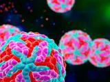 Fiebre amarilla: infección que prevalece