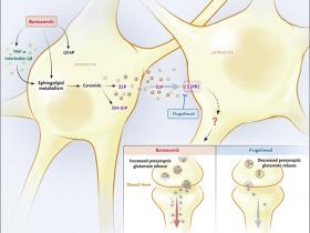 Alternativas contra el dolor neuropático