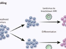 Redescubriendo las hemoglobinopatías