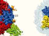 Una revisión profunda al receptor GABAA