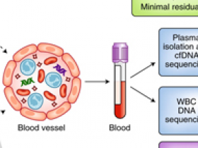 Biopsias líquidas de alta precisión