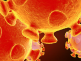 Actualización epidemiológica en SARS-CoV-2
