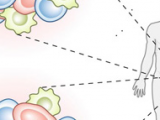 Soltar el control para atacar al cáncer de colon