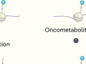 Metabolitos tumorales, obstáculos para reparar el ADN