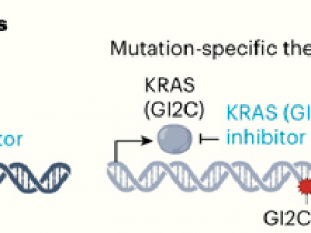 Enfoque genómico para personalizar la oncoterapia