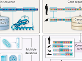 Inteligencia artificial y biomedicina