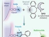 La química, la biología y la medicina 