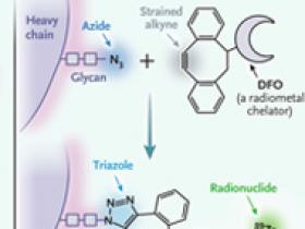 La química, la biología y la medicina 