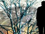 Moviendo la aguja en la enfermedad de Alzheimer