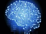 Entrenamiento computarizado contra el alzhéimer