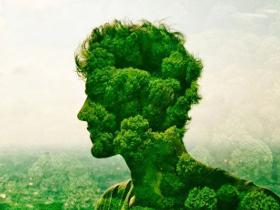 La salud en su estado antinatural