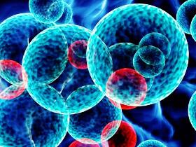 El gran secreto de la leucemia
