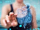 El perfecto equilibrio del ecosistema intestinal
