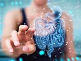 El perfecto equilibrio del ecosistema intestinal