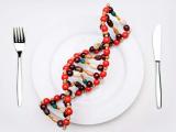 Nutrición ancestral como estilo de vida