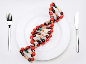 Nutrición ancestral como estilo de vida