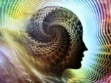 Dependencia proteínica en epilepsia