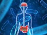 Psicobióticos para proteger la salud mental