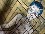 Ciencia y neuroanatomía tras la acupuntura