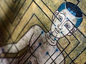 Ciencia y neuroanatomía tras la acupuntura