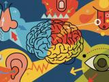 El sentido oculto que equilibra la salud mental
