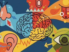 El sentido oculto que equilibra la salud mental