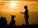 Zoonosis: el enemigo que potenciamos