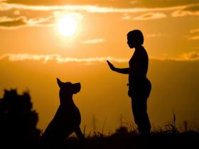 Zoonosis: el enemigo que potenciamos