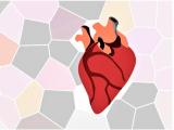Cartografía para orientar la salud cardiovascular